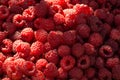 Fresh and sweet raspberries. Texture of raspberries close up. Vegetarian concept