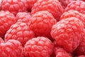 Fresh and sweet raspberry background. Close-up Royalty Free Stock Photo