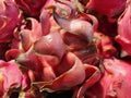 fresh dragon fruit Royalty Free Stock Photo
