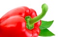 Fresh Sweet Red Pepper with green leaves close-up isolated Royalty Free Stock Photo