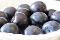 Fresh, sweet, ripe, plums. Macro Photo food fruit plums. Royalty Free Stock Photo