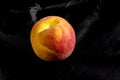 A fresh sweet ripe pound peach Royalty Free Stock Photo