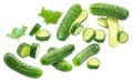 Fresh sweet small cucumbers and cucumber slices levitating in air. Cucumbers that are used to pickling or slicing. File contains