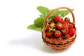 Fresh sweet strawberries in basket, isolated on white. Royalty Free Stock Photo
