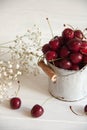 Fresh summer cherry Royalty Free Stock Photo