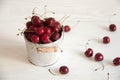 Fresh summer cherry Royalty Free Stock Photo