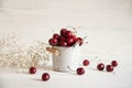 Fresh summer cherry Royalty Free Stock Photo