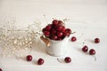 Fresh summer cherry Royalty Free Stock Photo