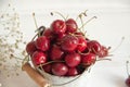 Fresh summer cherry Royalty Free Stock Photo