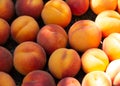 Fresh sweet tasty and juicy peaches fruits on box. Fruit harvest. Royalty Free Stock Photo