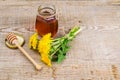 Fresh sweet transparent honey from dandelions, herbal tea Royalty Free Stock Photo