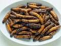 fresh and sweet worm fried in the market