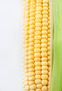 Fresh sweet yellow corn Royalty Free Stock Photo