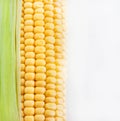 Fresh sweet yellow corn Royalty Free Stock Photo