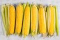 Fresh sweetcorn cobs on the textured grey table