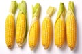 Fresh sweetcorn isolated on white background. Generative Ai