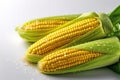 Fresh sweetcorn isolated on white background. Generative Ai