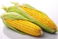 Fresh sweetcorn isolated on white background. Generative Ai