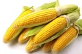 Fresh sweetcorn isolated on white background. Generative Ai