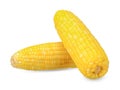 Fresh sweetcorn isolated on white clipping path