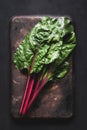 Swiss chard leaves on dark background Royalty Free Stock Photo