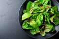 Fresh swiss chard leaves or mangold in black ceramic dish on dark concrete background. Concept for the preparation of healthy and