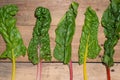 Fresh swiss rainbow chard on wooden table. Royalty Free Stock Photo
