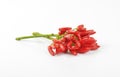 Fresh tabasco peppers Royalty Free Stock Photo