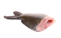 Fresh tail of carp fish. Royalty Free Stock Photo