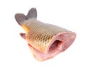 Fresh tail of carp fish. Royalty Free Stock Photo