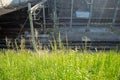 Fresh tall green grass with sunlight on train rail background