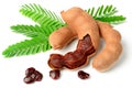 Fresh tamarind fruits and leaves isolated on white background