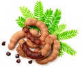 Fresh tamarind fruits and leaves isolated on the white background