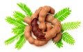 Fresh tamarind fruits and leaves isolated on the white background