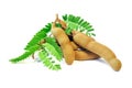 Fresh Tamarind with leaves on white background.