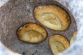 Fresh tandoori bread. Pita bread in oven. National Asian food, food, bread. Close up view of cooking bread in tandoor Royalty Free Stock Photo