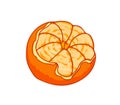 Fresh tangerine. Cartoon vector icon isolated on white