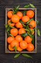 Fresh tangerine clementine with leaves in wooden tray on dark wooden background. Royalty Free Stock Photo