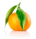 Fresh tangerine fruit with green leaves isolated