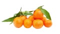 Fresh tangerine fruits