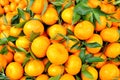 Fresh tangerine fruits with leaves