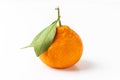 Fresh tangerine isolated on the white background. Citrus clementine with green leaf as a variety of mandarine oranges Royalty Free Stock Photo