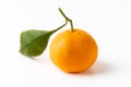 Fresh tangerine isolated on the white background. Citrus clementine with green leaf as a variety of mandarine oranges Royalty Free Stock Photo