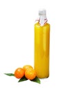 Fresh tangerine juice bottle and glass Royalty Free Stock Photo