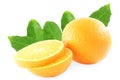 Fresh tangerine or mandarin fruit with leaves Royalty Free Stock Photo