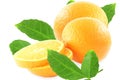 Fresh tangerine or mandarin fruit with leaves Royalty Free Stock Photo