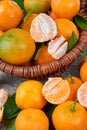 Fresh tangerines with leaves