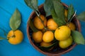 Mandarins or tangerines in a basket Royalty Free Stock Photo