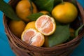 Mandarins or tangerines in a basket Royalty Free Stock Photo