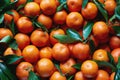 Fresh tangerines with stems and leaves, for sale at market Royalty Free Stock Photo